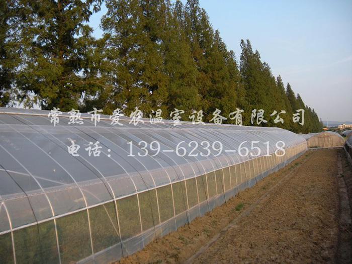 1-3.8噸X系列內(nèi)燃叉車